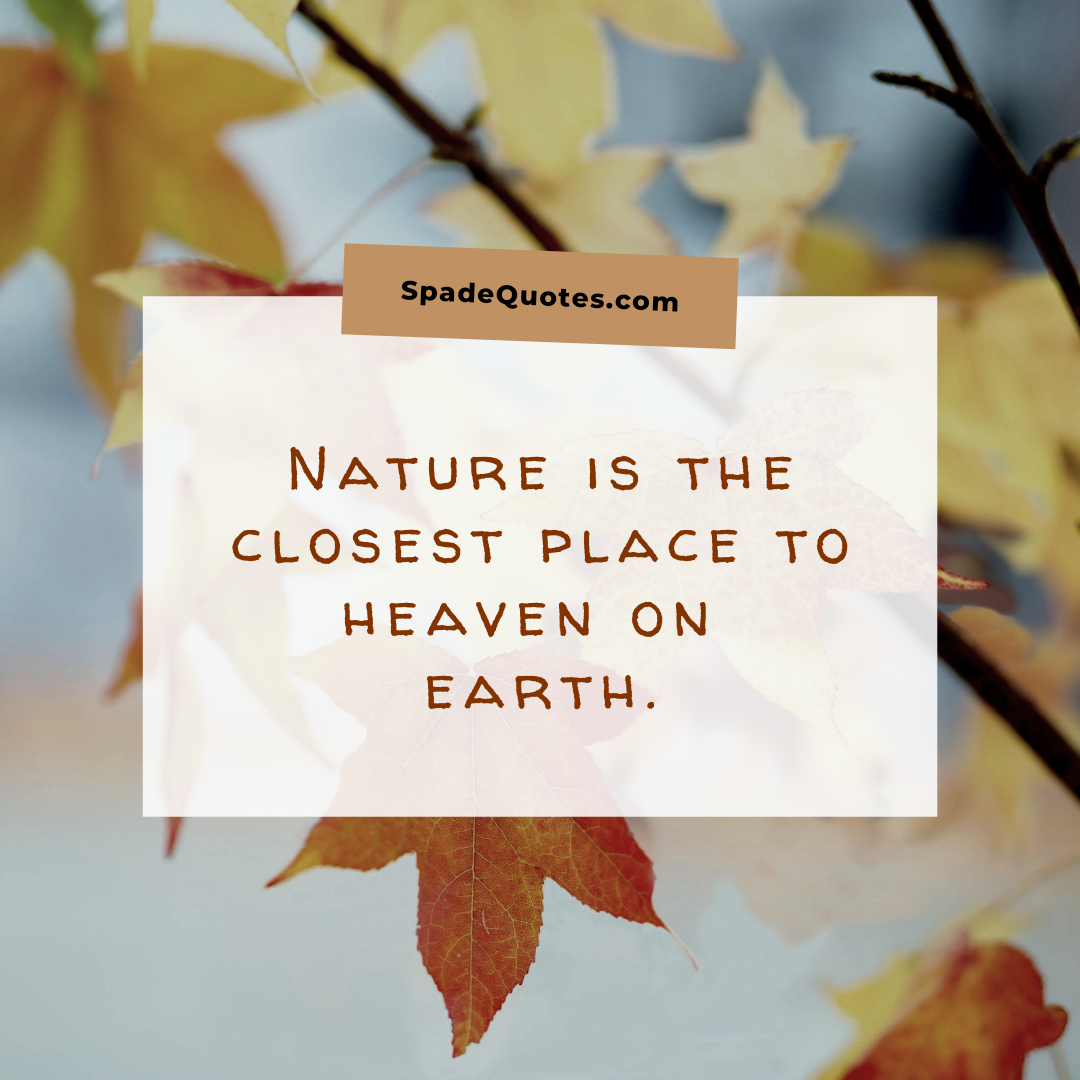Nature-is-heaven-Good-Nature-Captions-for-Instagram-SpadeQuotes