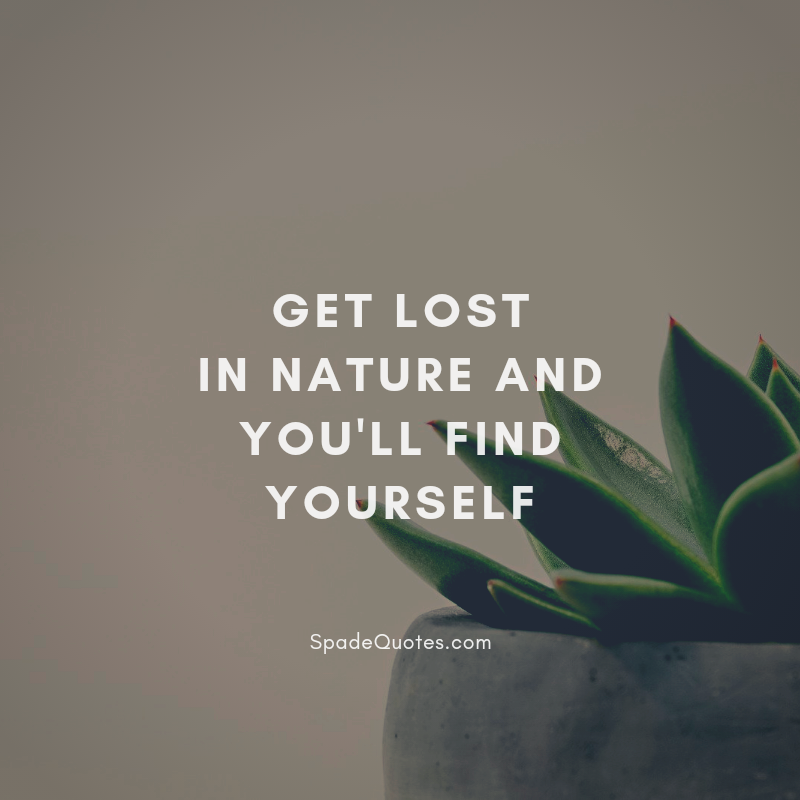 Get-lost-in-nature-Natural-Beauty-Quotes-for-Instagram-SpadeQuotes