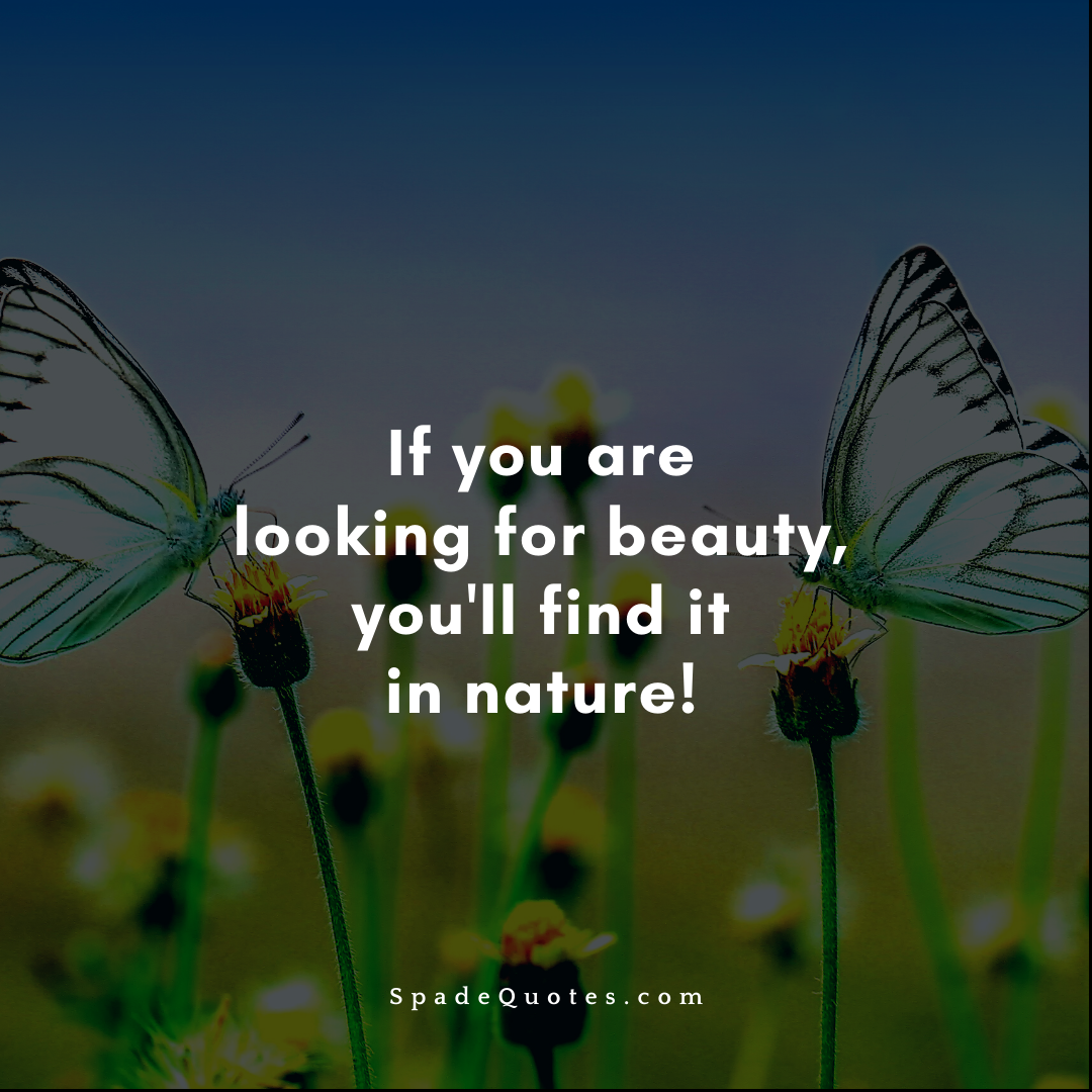Natural-Beauty-Quotes-for-Instagram-SpadeQuotes