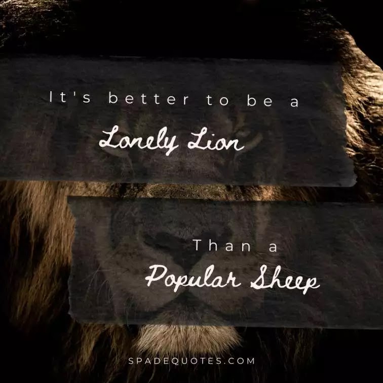 lion-quotes-Life-Attitude-Instagram-Captions-spadequotes