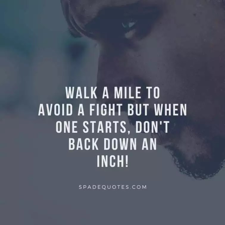 fight-captions-bad-attitude-quotes-for-boys-spadequotes