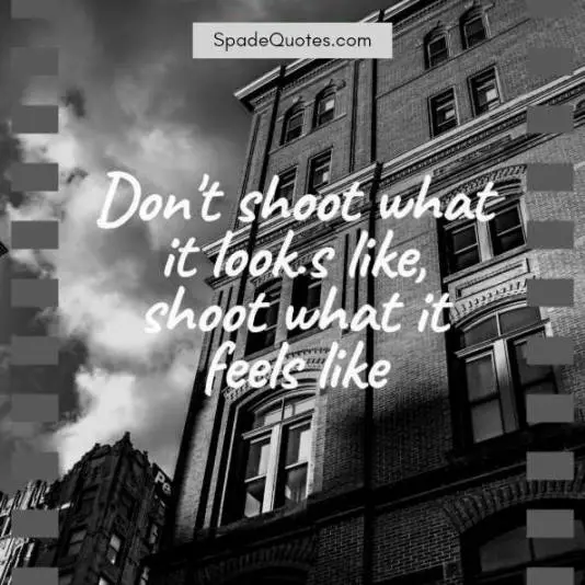 Shoot-what-you-feel-black-and-white-photo-captions-spadequotes