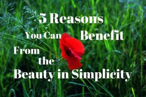 Beauty in Simplicity