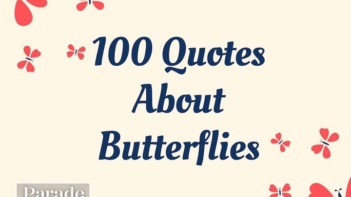 250+ Butterfly Quotes: Embracing Transformation and Beauty Butterfly Quotes