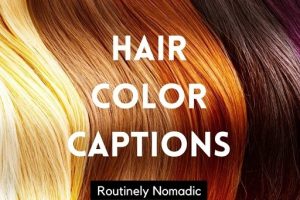 Captions for Hair Color Transformation