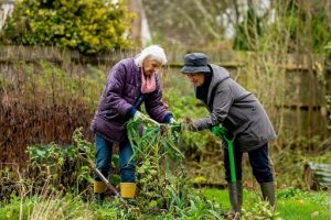 Finding Joy in Gardening