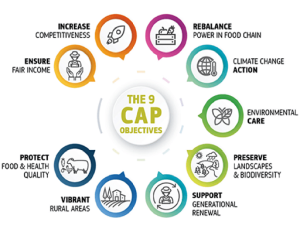 Food and Future Goals