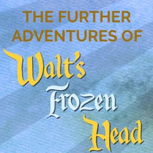 Future Adventures