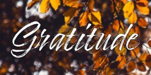 Gratitude and FulfillmentGratitude and Fulfillment