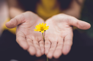 Hope and Resilience 1