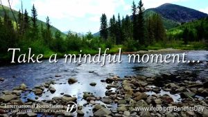 Mindfulness Moments
