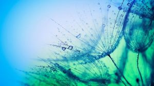 Rain and Imagination