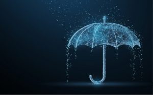 Rain and Resilience 1