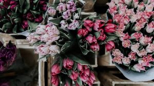 Roses Are Red Violets Are Blue Quotes for Sending Love