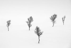 Simplicity and Minimalism