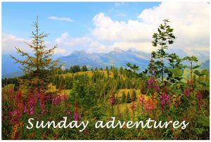 Sunday Adventures