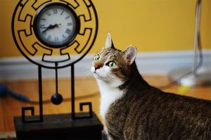 Time and Clock Jokes