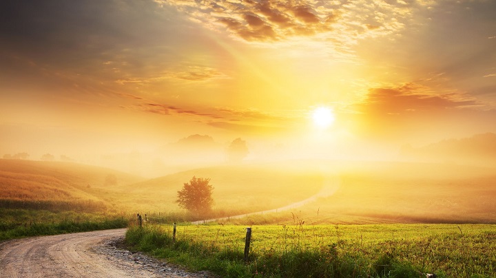 Sunday Morning Quotes: Embrace the Day with Inspirational Words sunday morning quotes