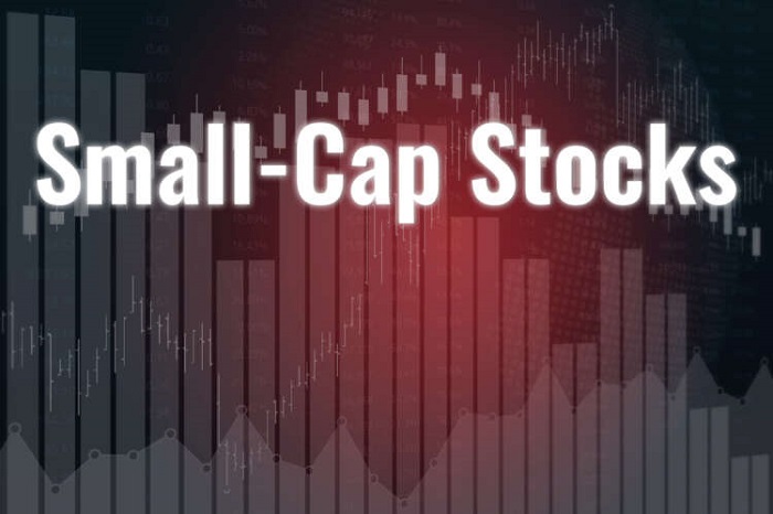 Challenges and Opportunities in Small Cap Investing