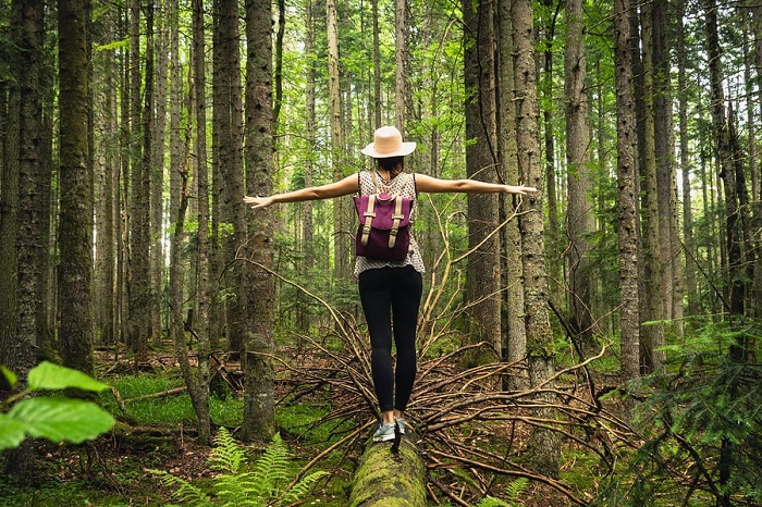 Connection to Nature