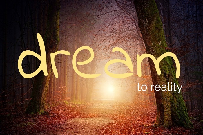 Dreaming and Reality
