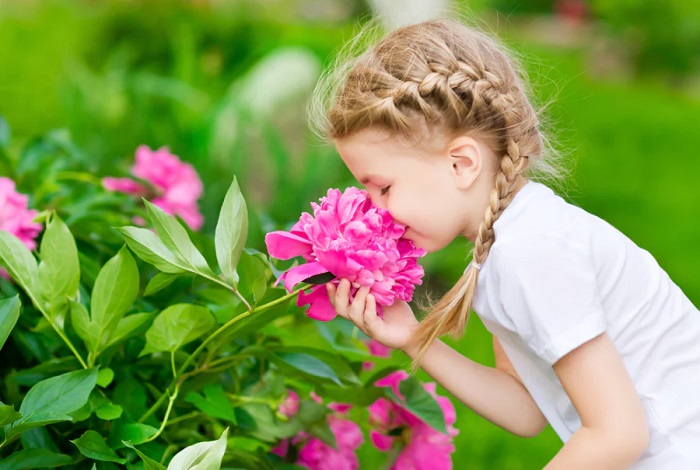 Flowers and Fragrance