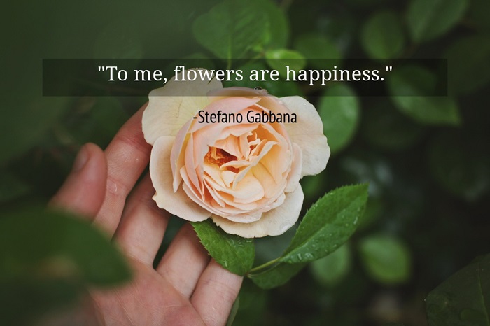 Flowers and Happiness