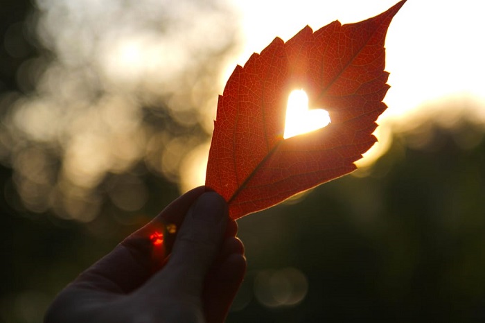 Gratitude for Natures Gifts