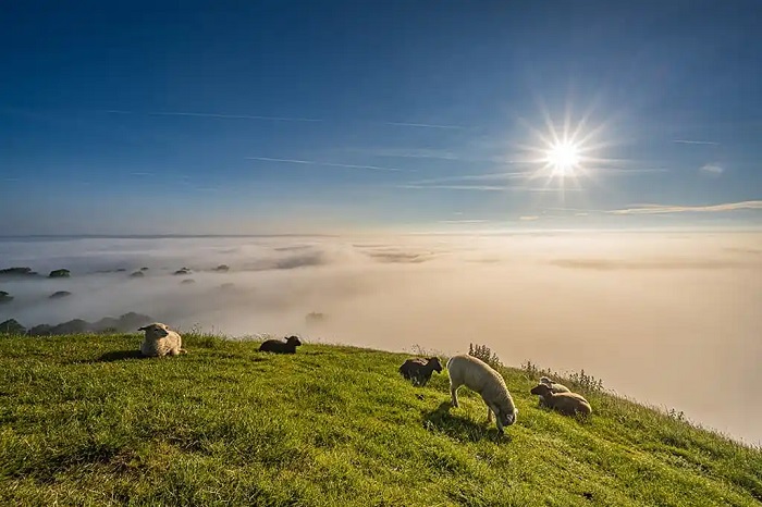 Misty Mornings and Cool Breezes