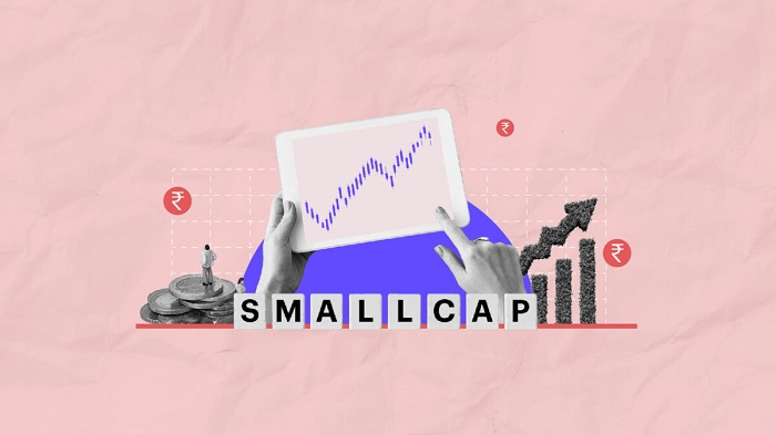 The Disadvantages of Small Cap Investing