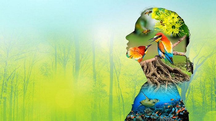 The Diversity of Nature