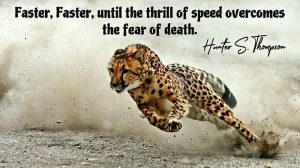 The Thrill of Speed