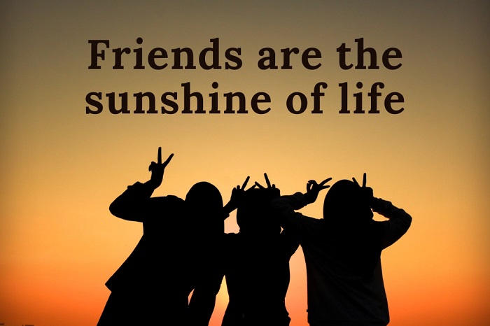 Captions for Different Types of Best Friends