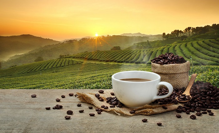 Coffee and Sustainability
