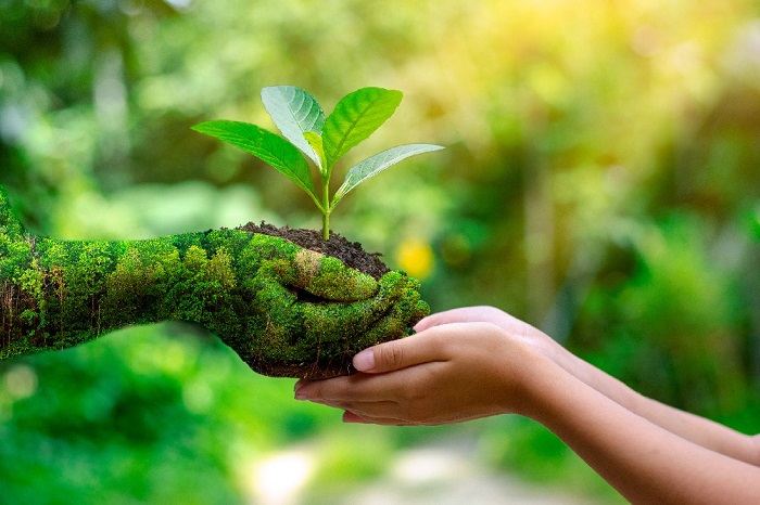 Connecting with Nature
