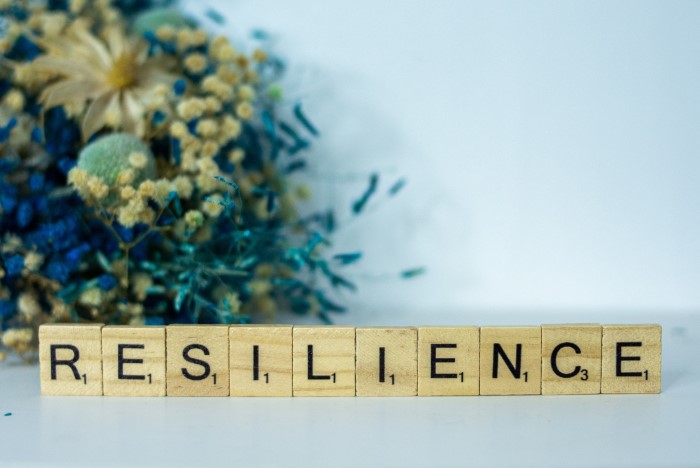 Embracing Resilience
