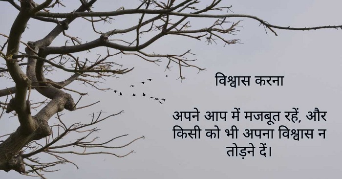 Exploring Examples of Hindi Captions