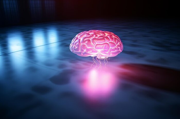 Illuminating Perspectives