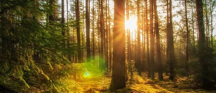 Inspiring Gratitude for the Earth