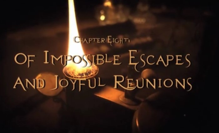 Joyful Reunions