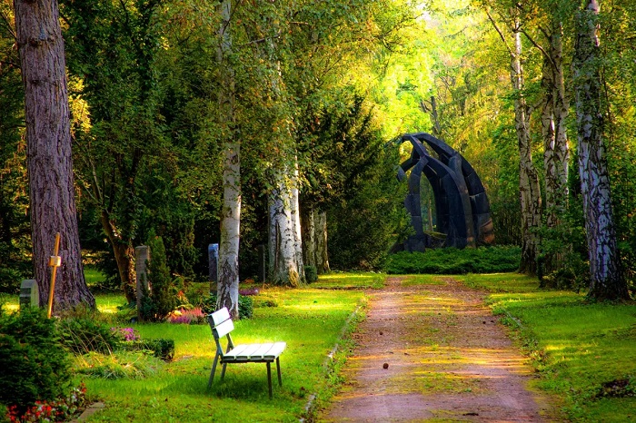 Nature and Serenity