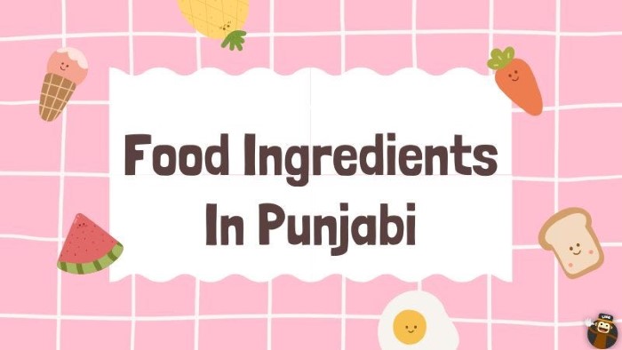 The Elements of Punjabi Captions