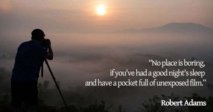 The Power of Words in Capturing Moments