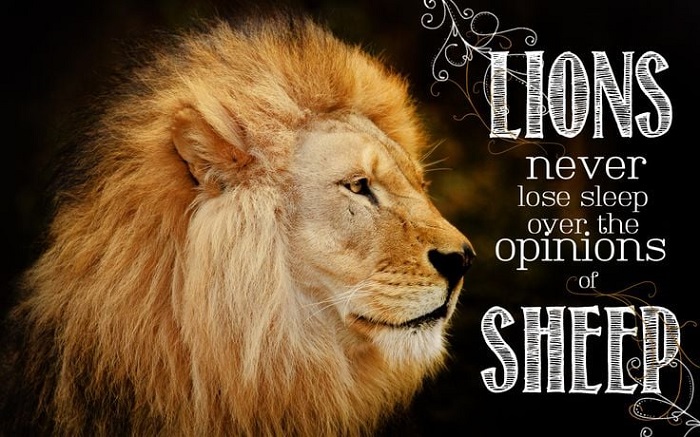 Fearless Mentality